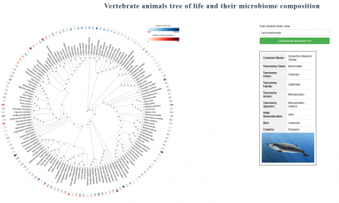 Animals Tree of Life (Second Honorable Mention) 