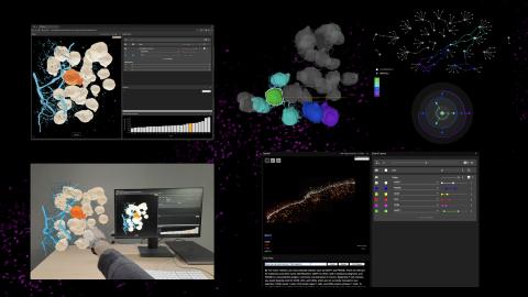 XR, AI and Visual Analytics in 3D Spatial Biology